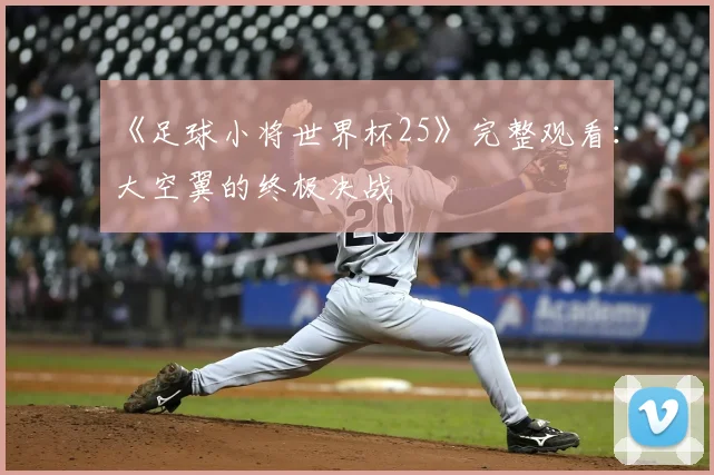 《足球小将世界杯25》完整观看:大空翼的终极决战