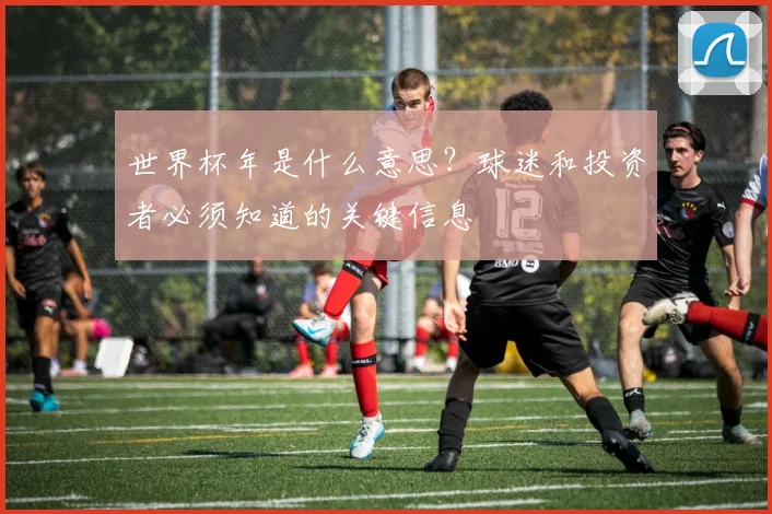 世界杯年是什么意思？球迷和投资者必须知道的关键信息