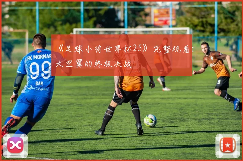 《足球小将世界杯25》完整观看:大空翼的终极决战