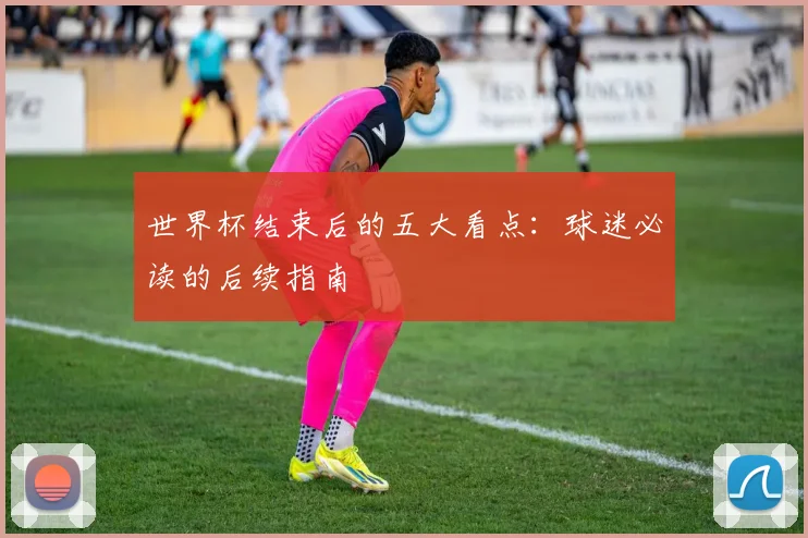 世界杯结束后的五大看点:球迷必读的后续指南