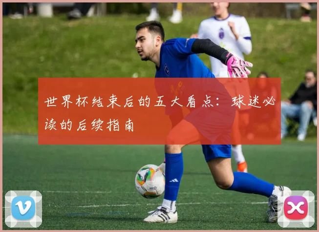 世界杯结束后的五大看点:球迷必读的后续指南
